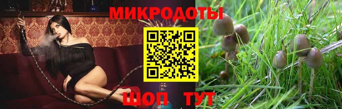 Новозыбков  Галлюциногенные грибы Magic Shrooms  Вход с VPN  Псилоцибиновые грибы мицелий 