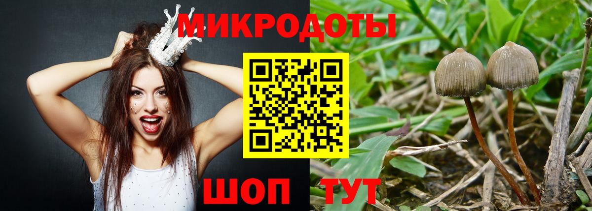 Галлюциногенные грибы Magic Shrooms Новозыбков